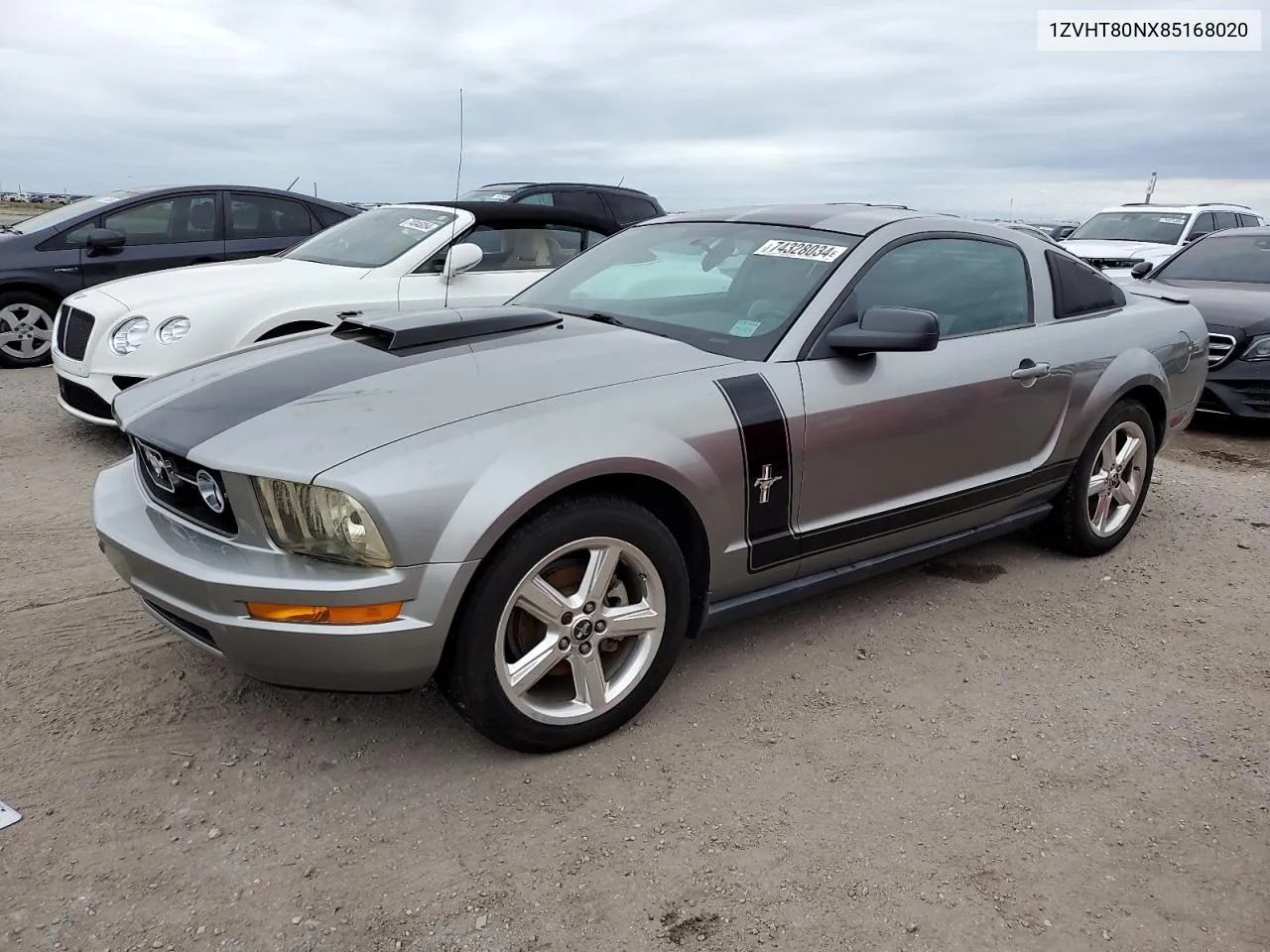 2008 Ford Mustang VIN: 1ZVHT80NX85168020 Lot: 74328034