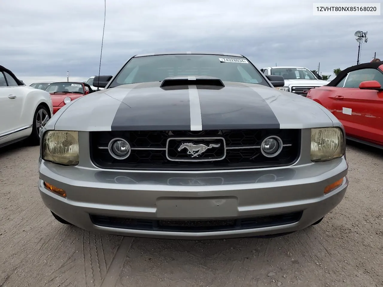 2008 Ford Mustang VIN: 1ZVHT80NX85168020 Lot: 74328034