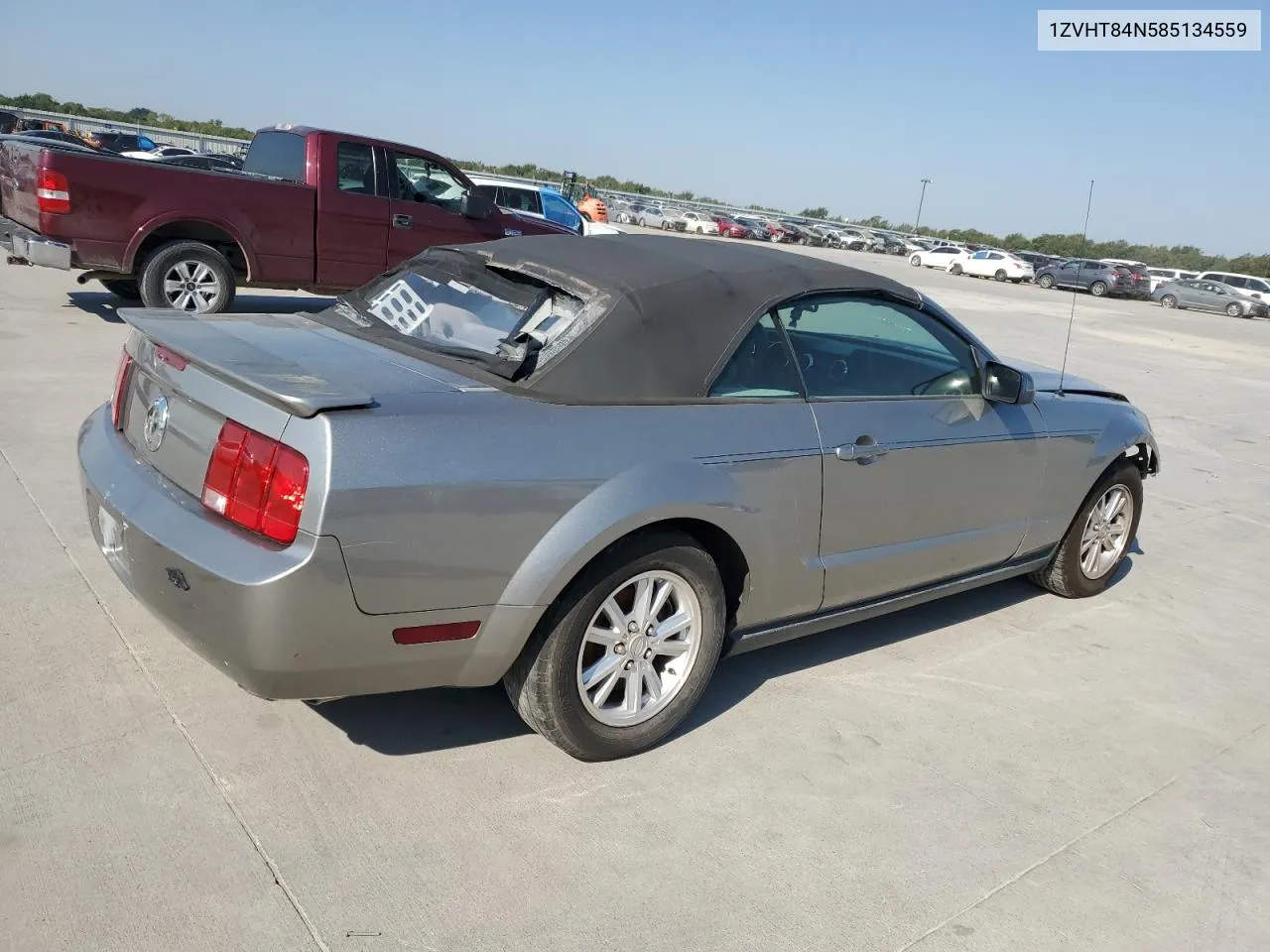 2008 Ford Mustang VIN: 1ZVHT84N585134559 Lot: 74945784