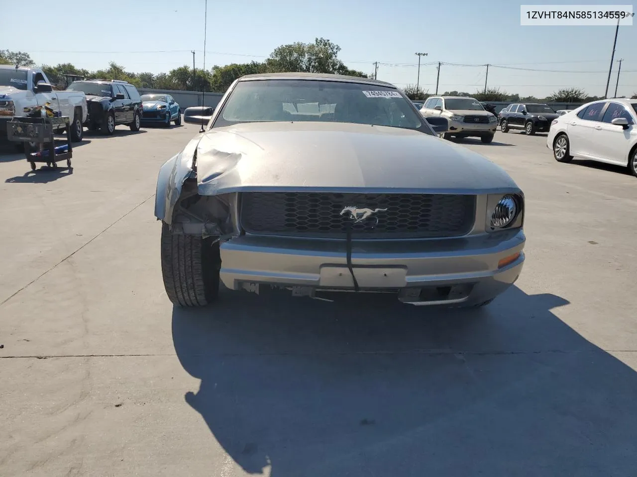 2008 Ford Mustang VIN: 1ZVHT84N585134559 Lot: 74945784