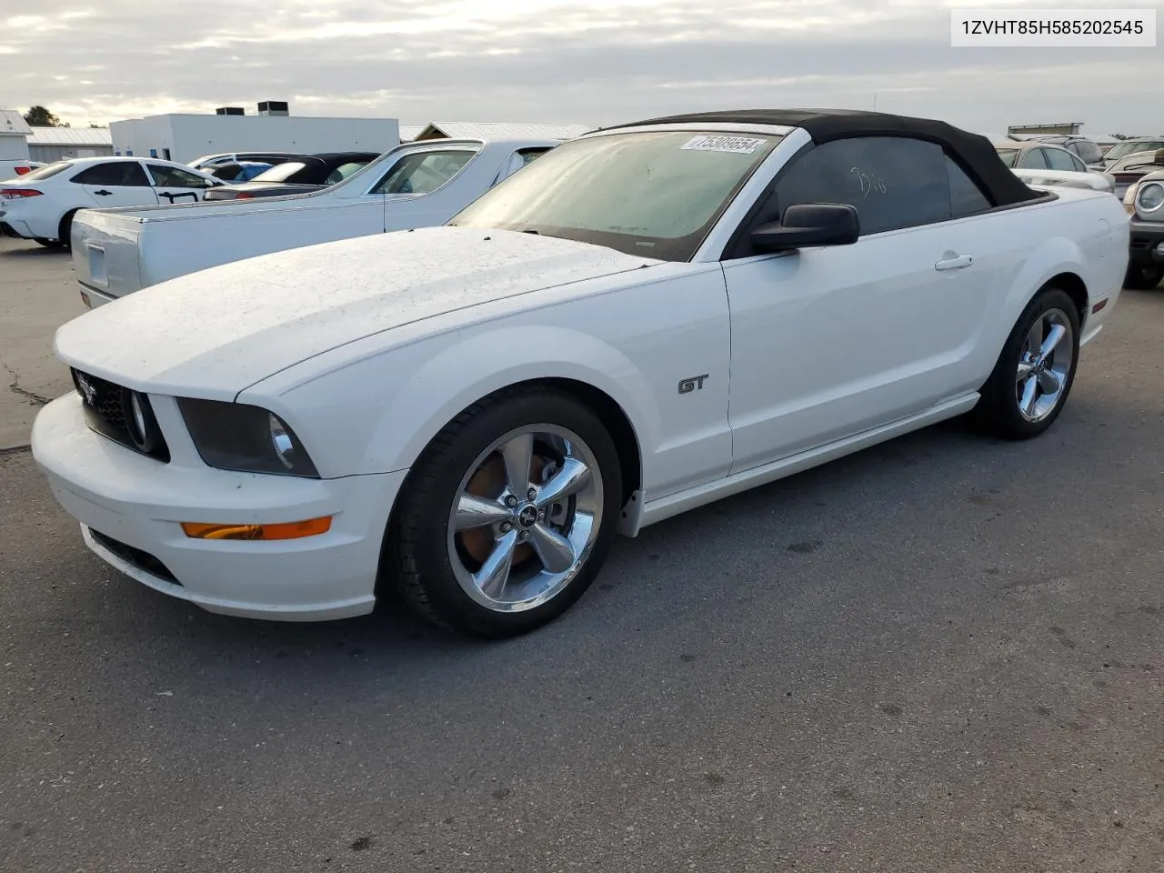 2008 Ford Mustang Gt VIN: 1ZVHT85H585202545 Lot: 75309854