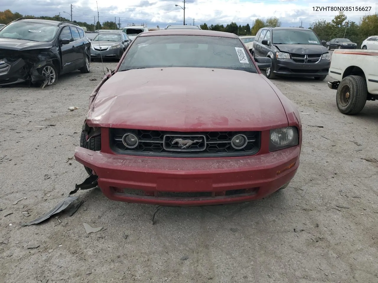 2008 Ford Mustang VIN: 1ZVHT80NX85156627 Lot: 75405804