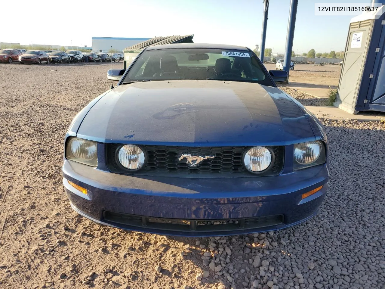 2008 Ford Mustang Gt VIN: 1ZVHT82H185160637 Lot: 75561854