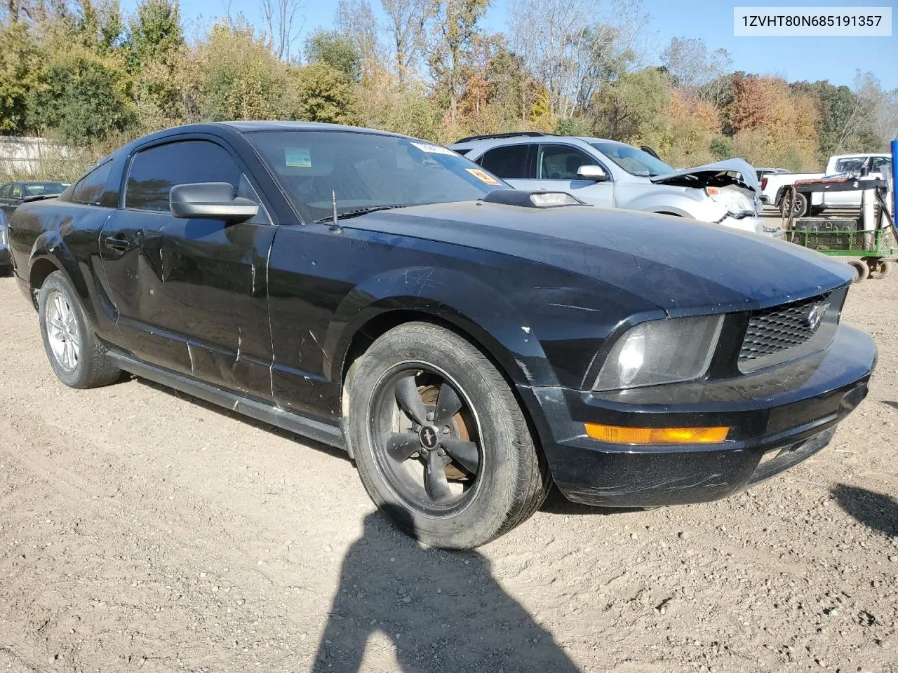 2008 Ford Mustang VIN: 1ZVHT80N685191357 Lot: 76941074