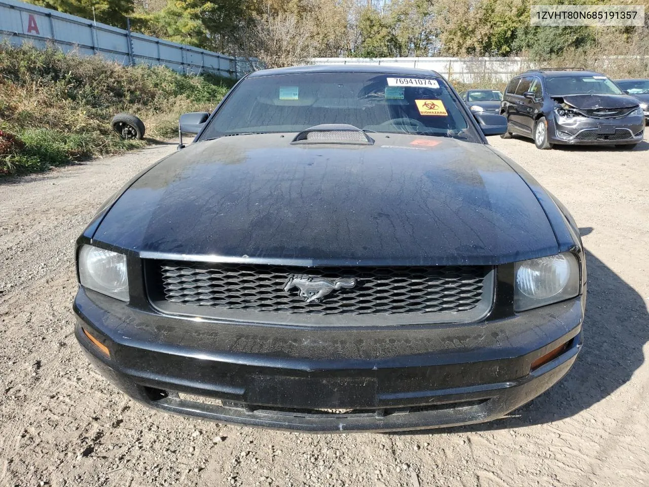 2008 Ford Mustang VIN: 1ZVHT80N685191357 Lot: 76941074