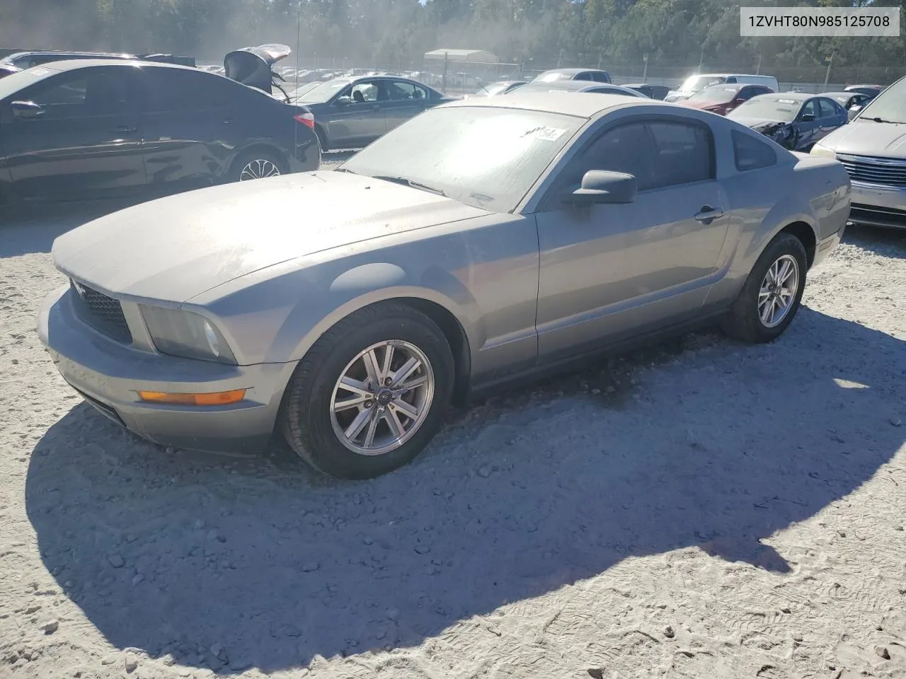 2008 Ford Mustang VIN: 1ZVHT80N985125708 Lot: 77040854