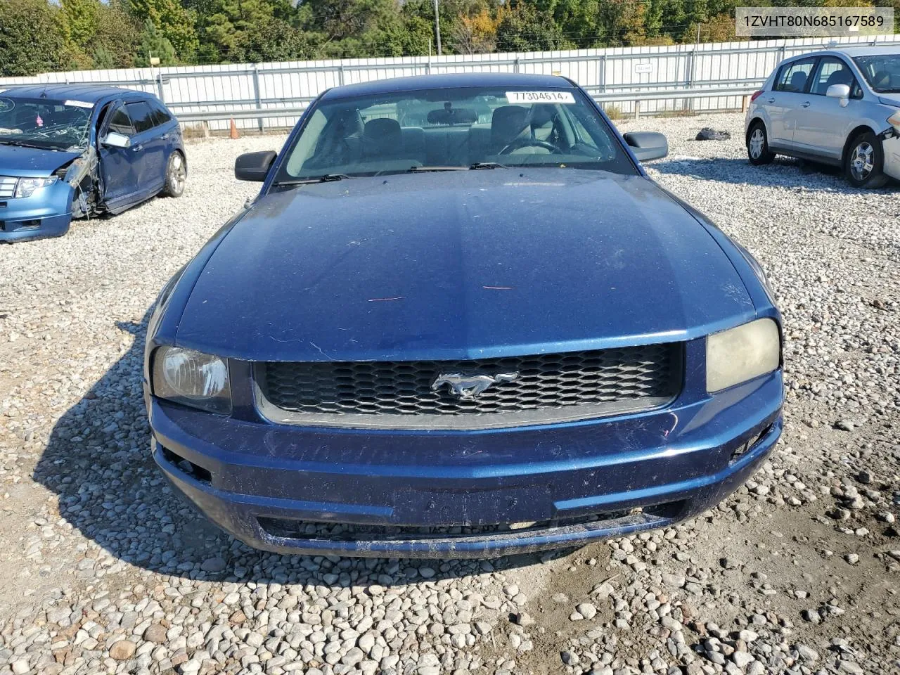 2008 Ford Mustang VIN: 1ZVHT80N685167589 Lot: 77304614