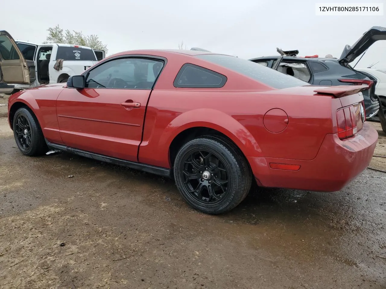 2008 Ford Mustang VIN: 1ZVHT80N285171106 Lot: 78636584