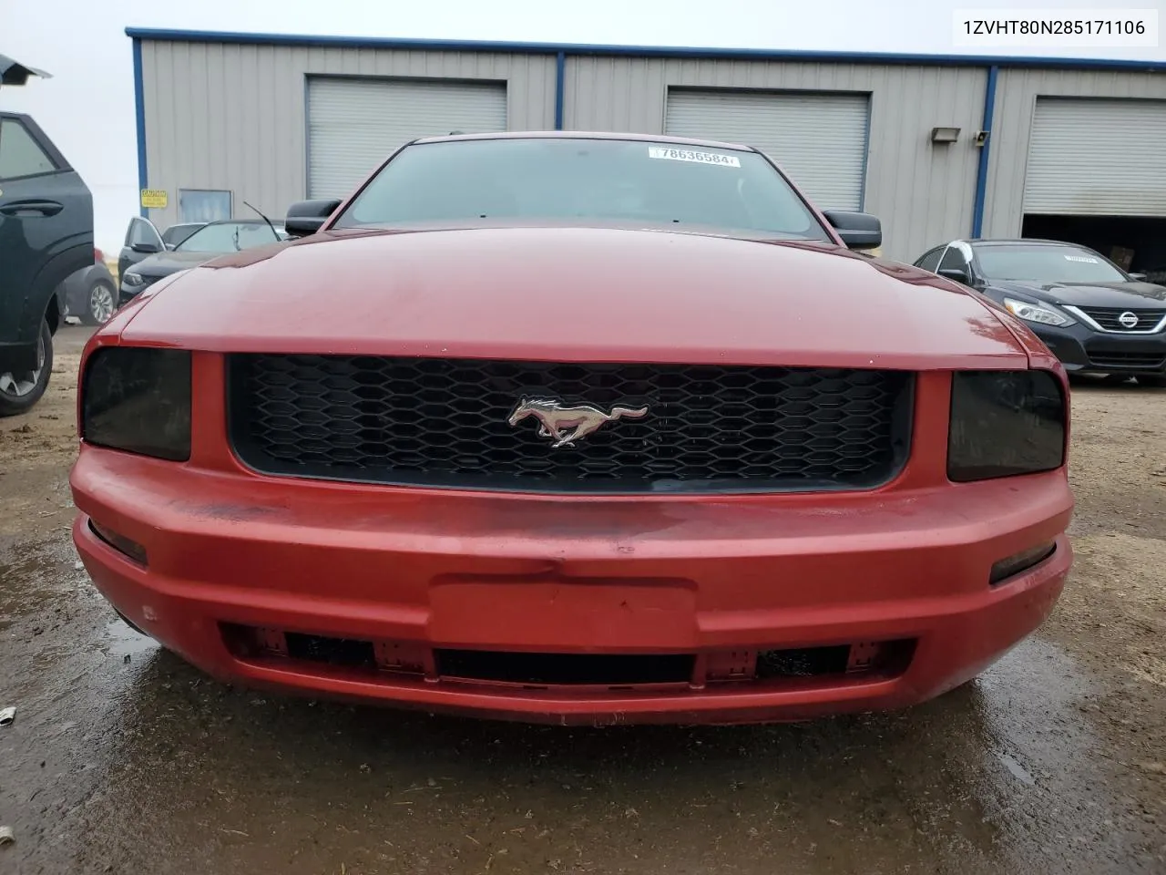 2008 Ford Mustang VIN: 1ZVHT80N285171106 Lot: 78636584