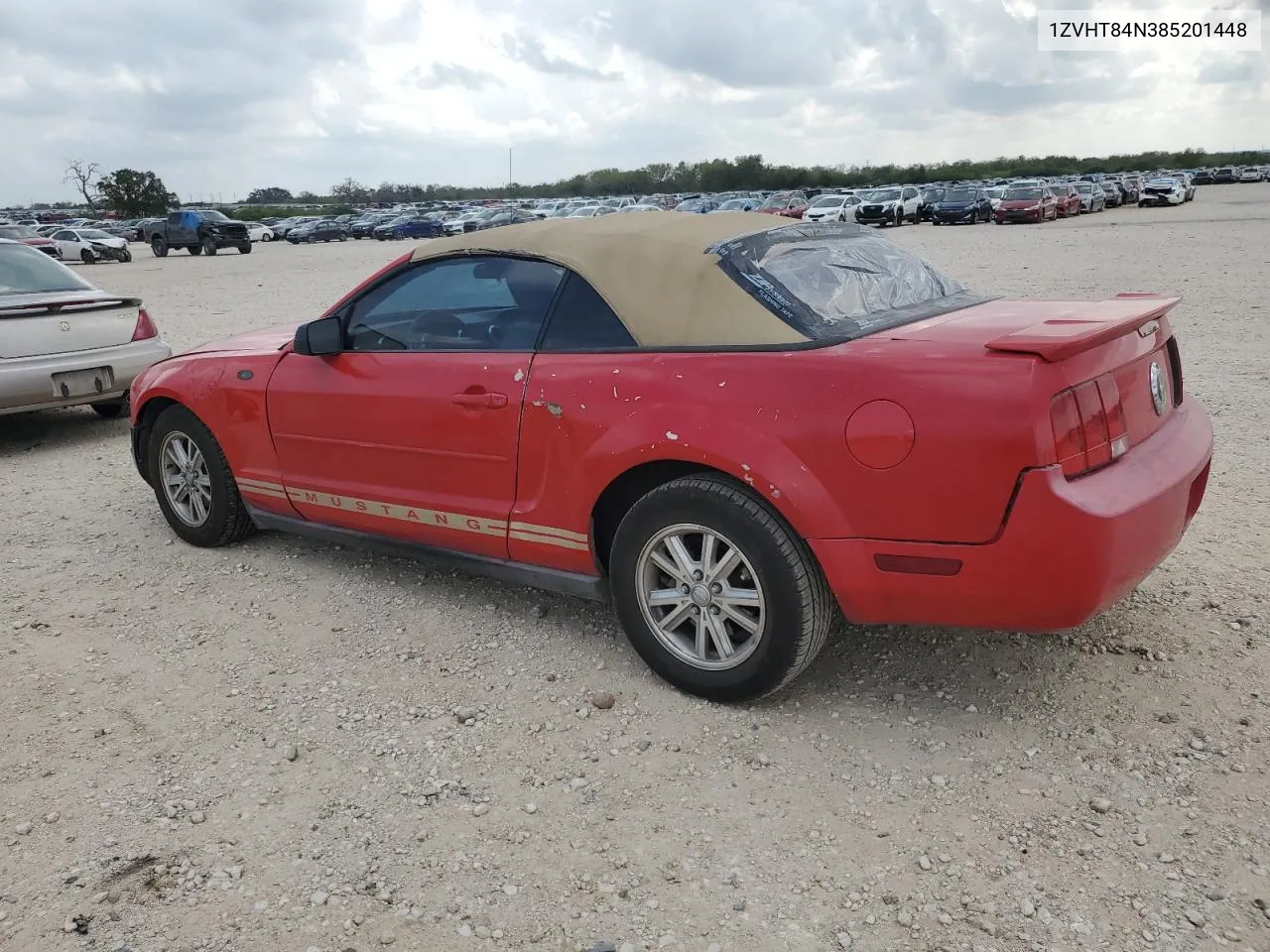 2008 Ford Mustang VIN: 1ZVHT84N385201448 Lot: 78900364