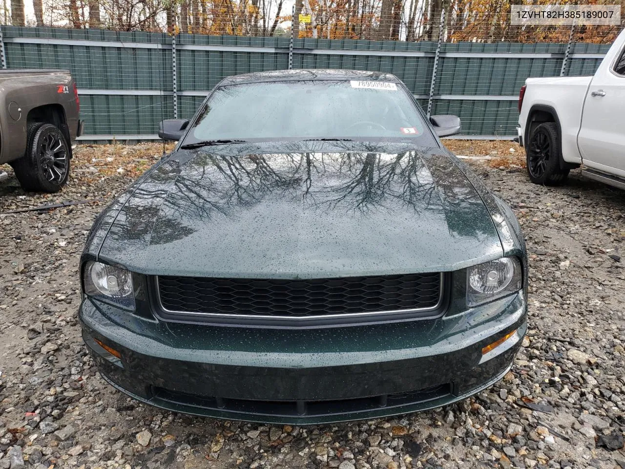 2008 Ford Mustang Gt VIN: 1ZVHT82H385189007 Lot: 78950904