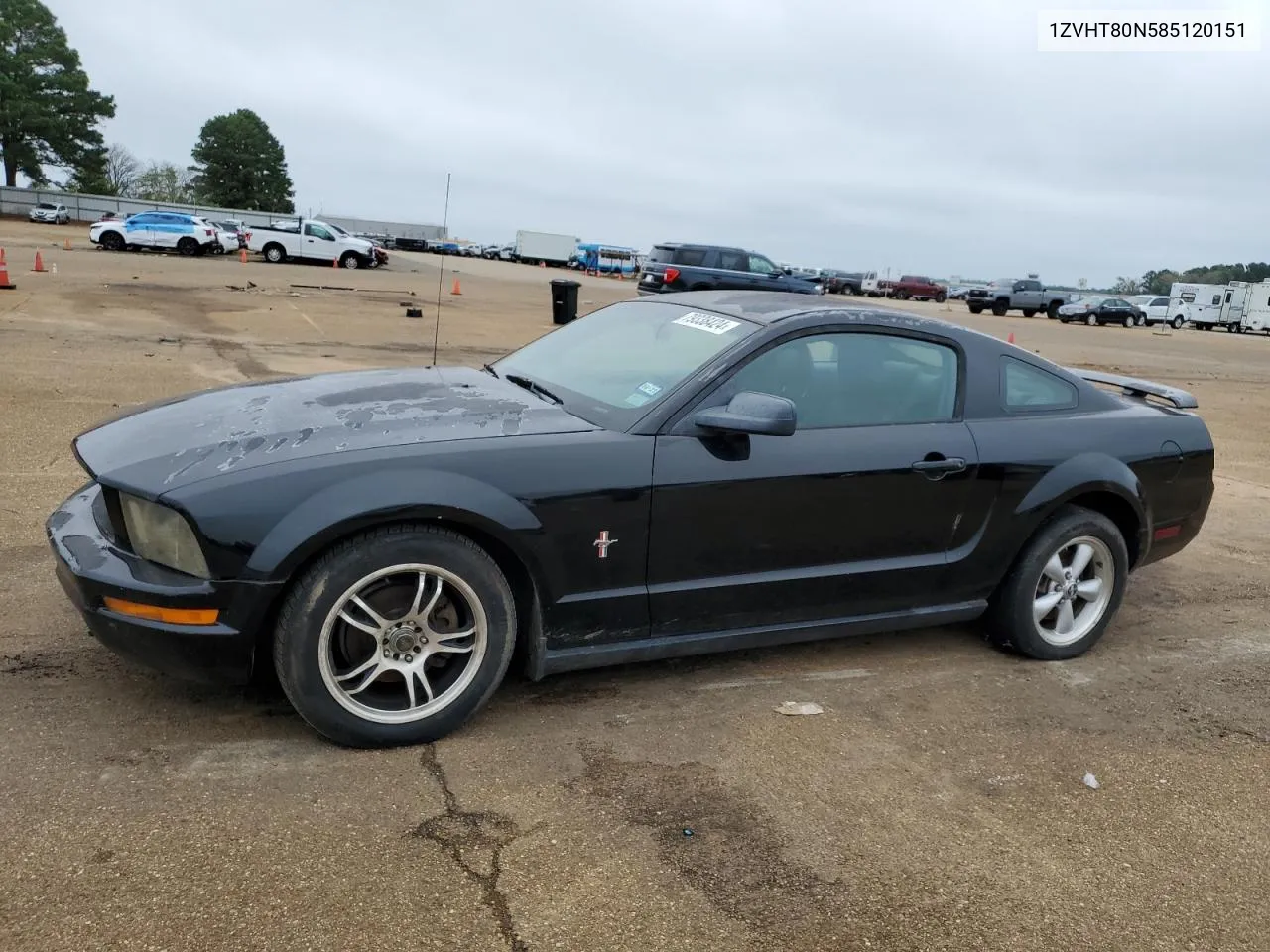 2008 Ford Mustang VIN: 1ZVHT80N585120151 Lot: 79338424