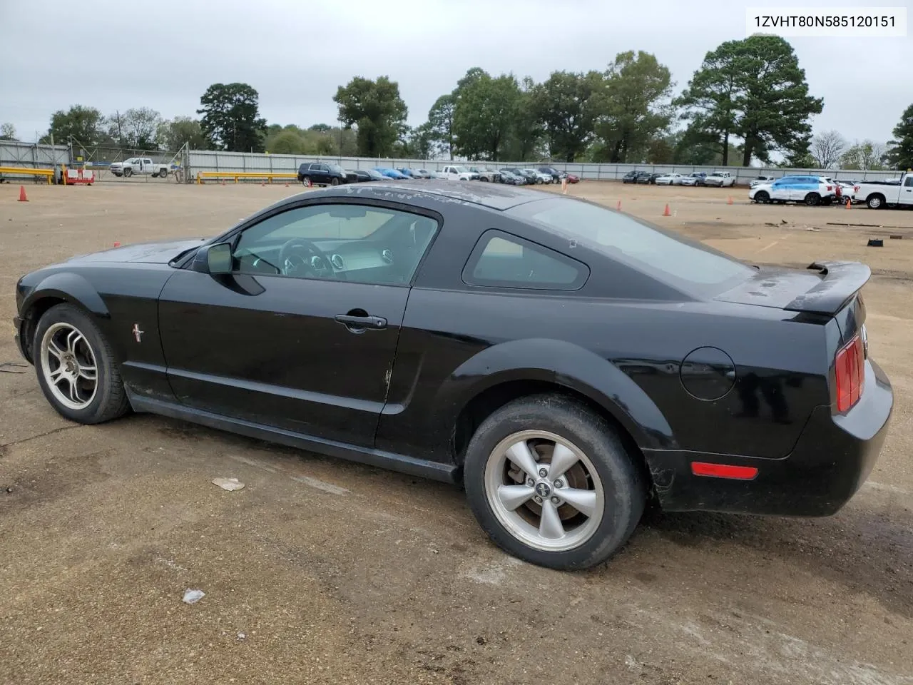 2008 Ford Mustang VIN: 1ZVHT80N585120151 Lot: 79338424