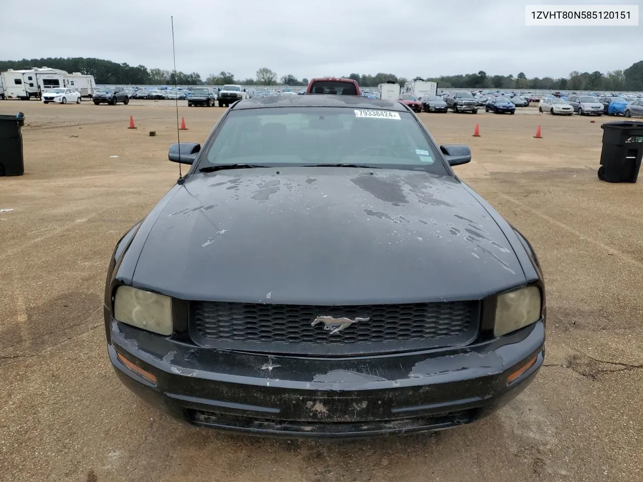 2008 Ford Mustang VIN: 1ZVHT80N585120151 Lot: 79338424