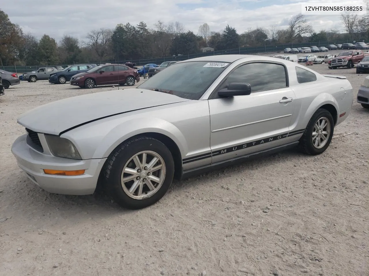 2008 Ford Mustang VIN: 1ZVHT80N585188255 Lot: 79856414