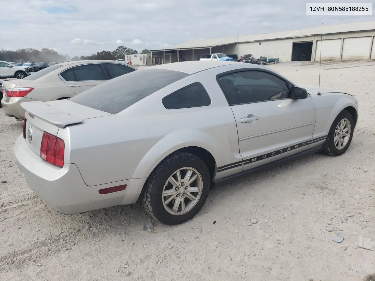 2008 Ford Mustang VIN: 1ZVHT80N585188255 Lot: 79856414