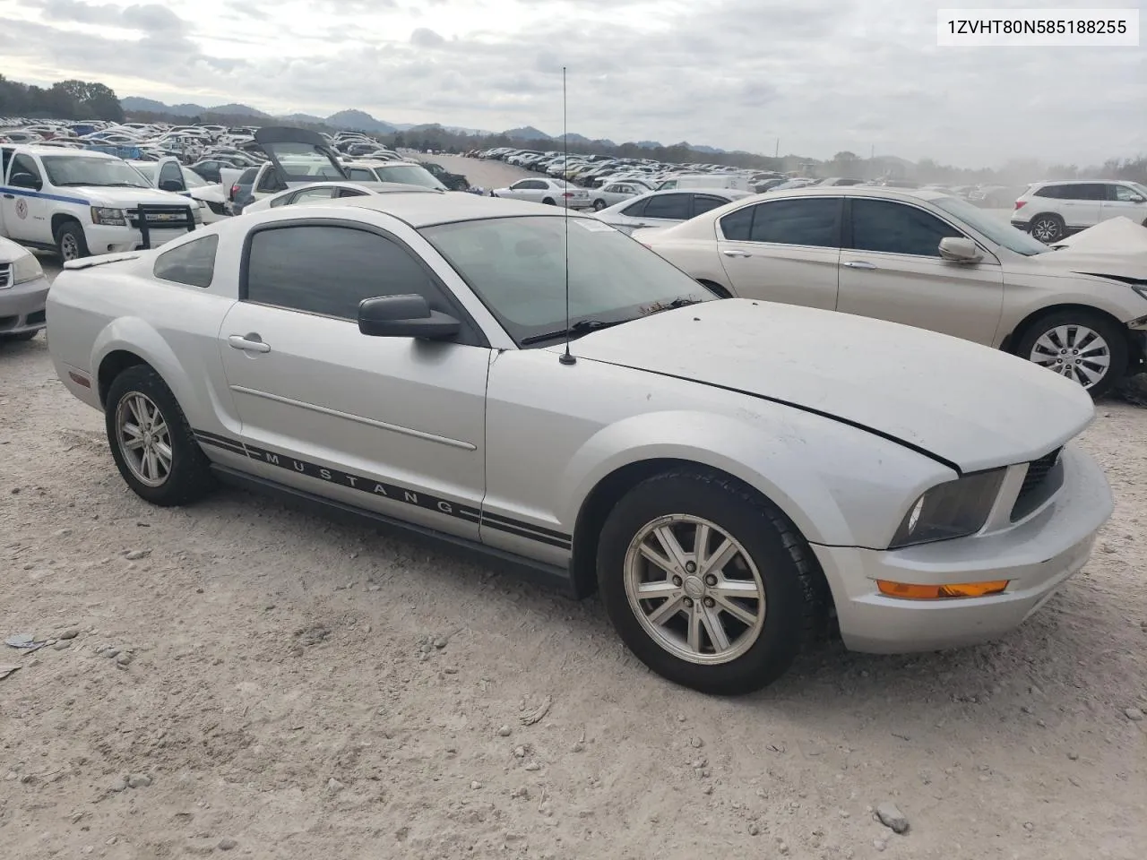 2008 Ford Mustang VIN: 1ZVHT80N585188255 Lot: 79856414