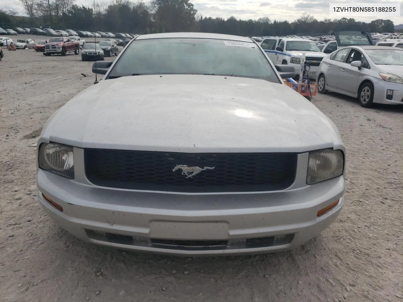 2008 Ford Mustang VIN: 1ZVHT80N585188255 Lot: 79856414