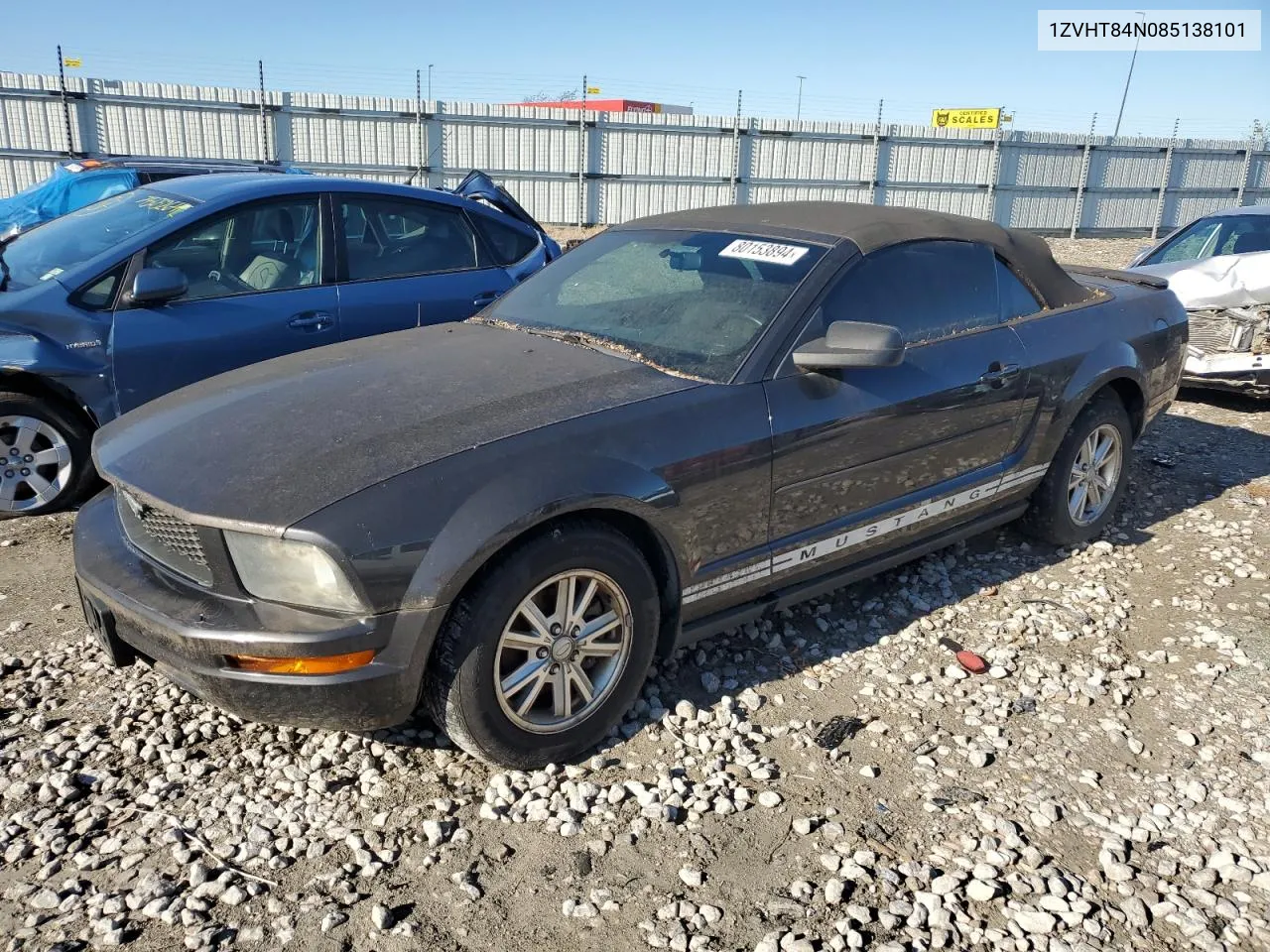 2008 Ford Mustang VIN: 1ZVHT84N085138101 Lot: 80153894