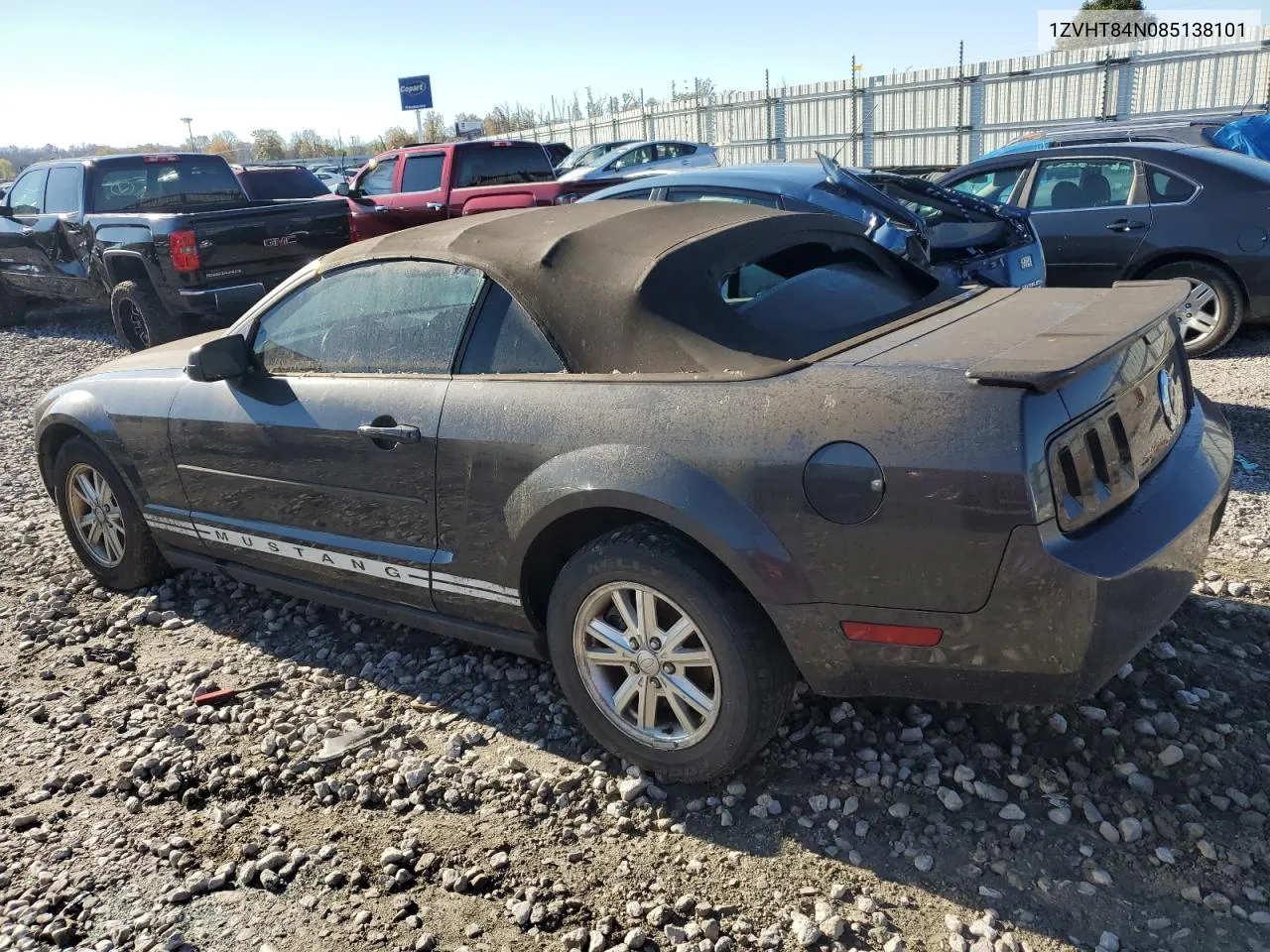 2008 Ford Mustang VIN: 1ZVHT84N085138101 Lot: 80153894