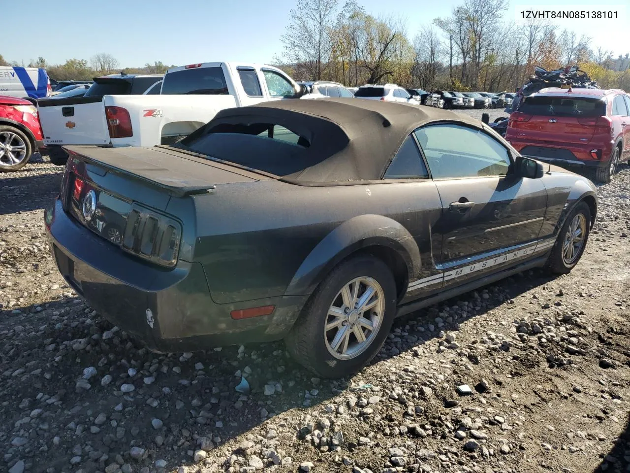 2008 Ford Mustang VIN: 1ZVHT84N085138101 Lot: 80153894