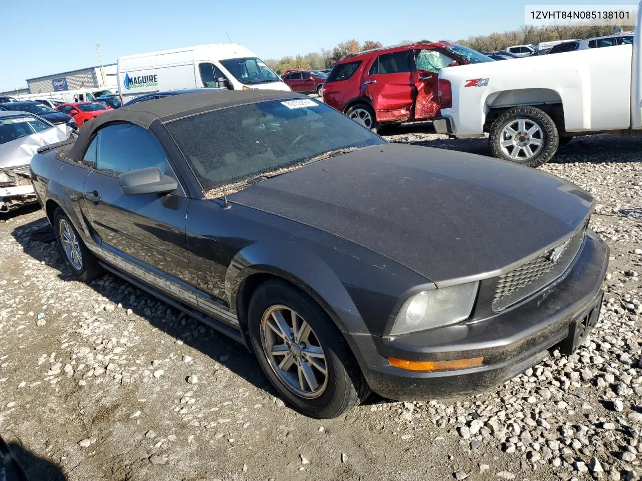 2008 Ford Mustang VIN: 1ZVHT84N085138101 Lot: 80153894