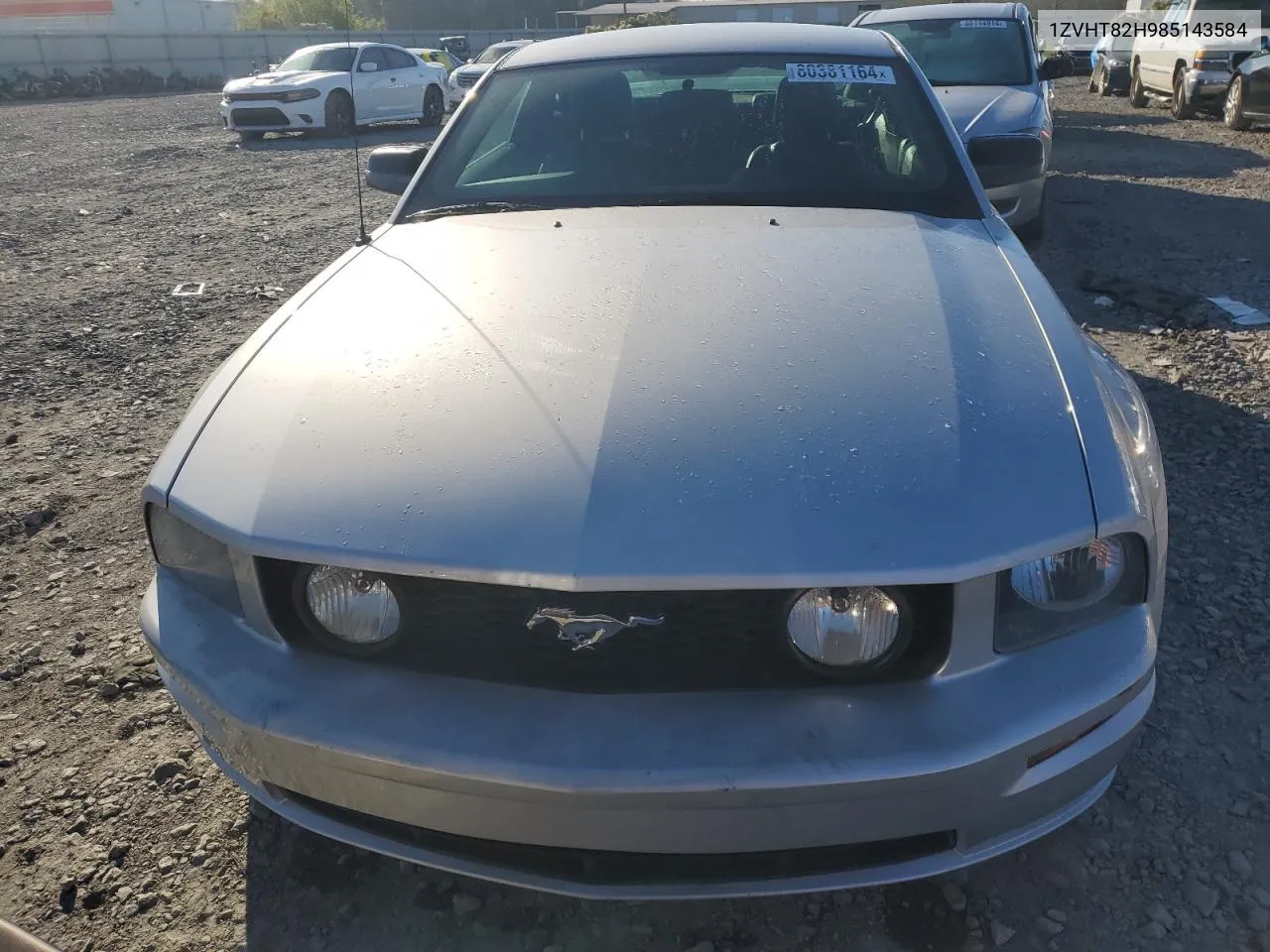 2008 Ford Mustang Gt VIN: 1ZVHT82H985143584 Lot: 80381164