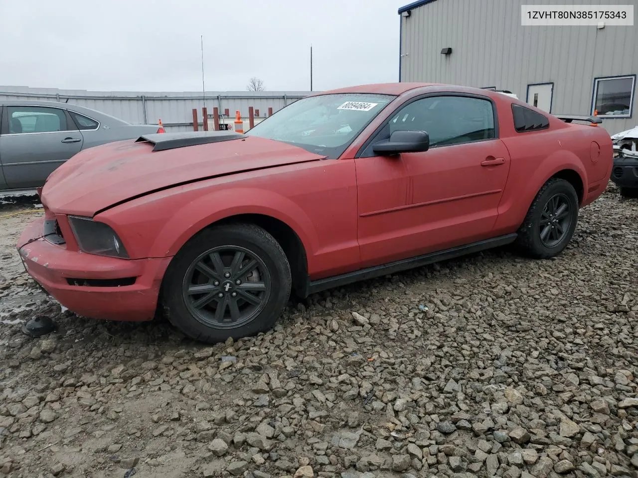 2008 Ford Mustang VIN: 1ZVHT80N385175343 Lot: 80594664