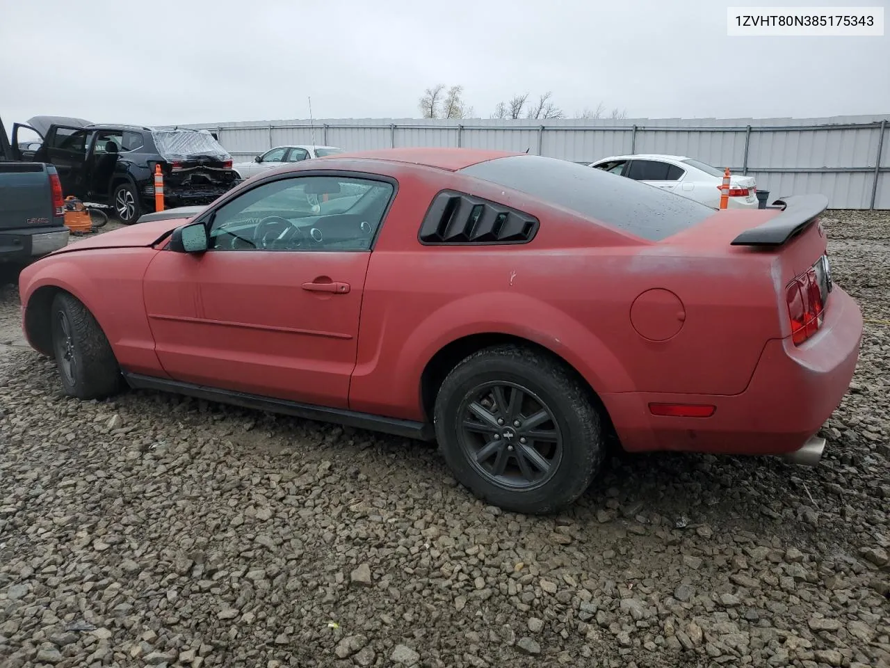 2008 Ford Mustang VIN: 1ZVHT80N385175343 Lot: 80594664