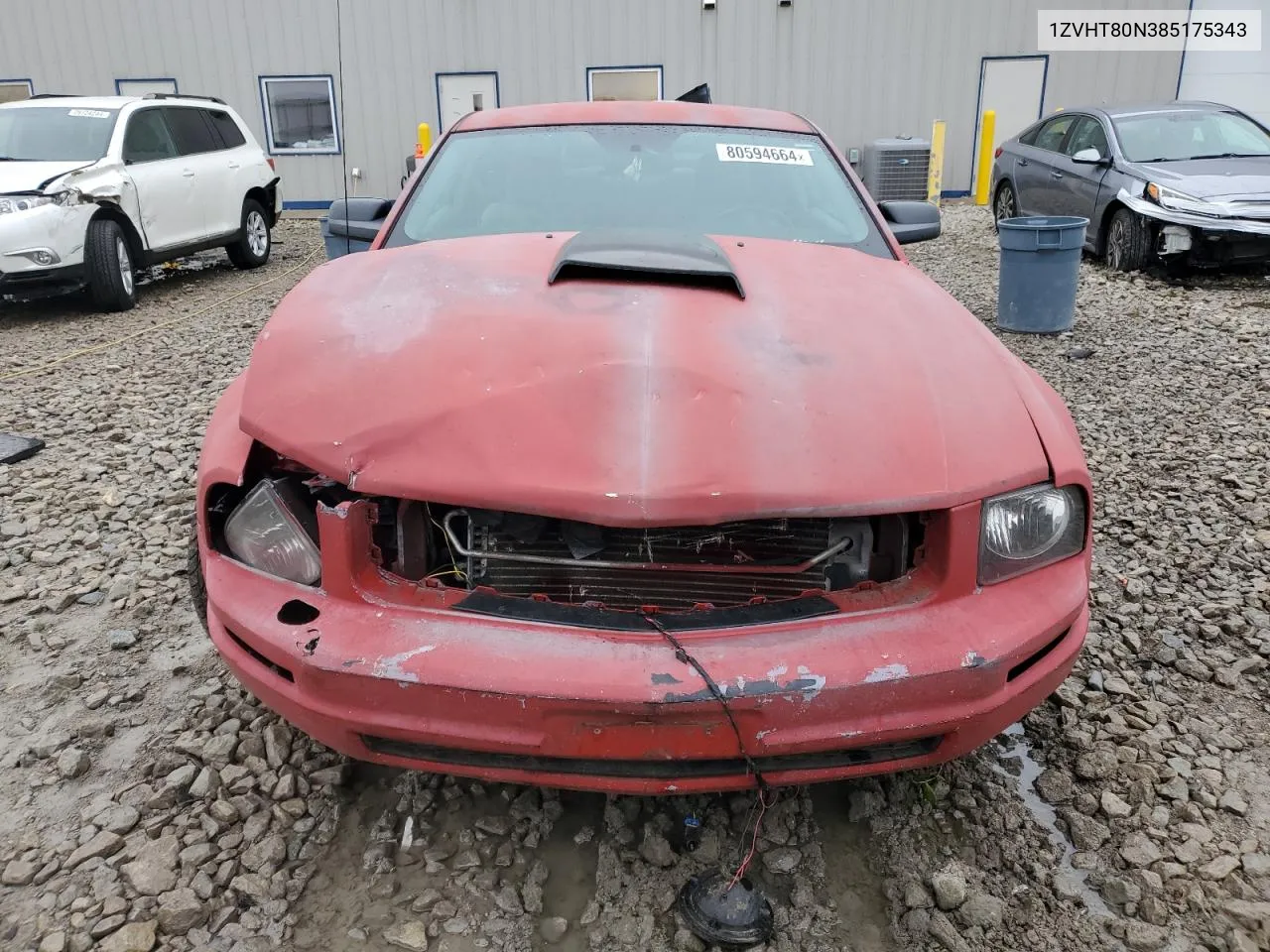 2008 Ford Mustang VIN: 1ZVHT80N385175343 Lot: 80594664