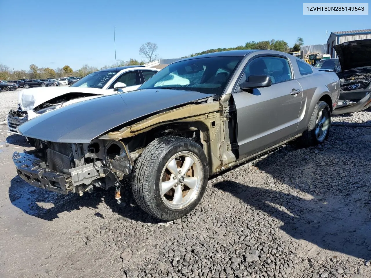 2008 Ford Mustang VIN: 1ZVHT80N285149543 Lot: 80766474