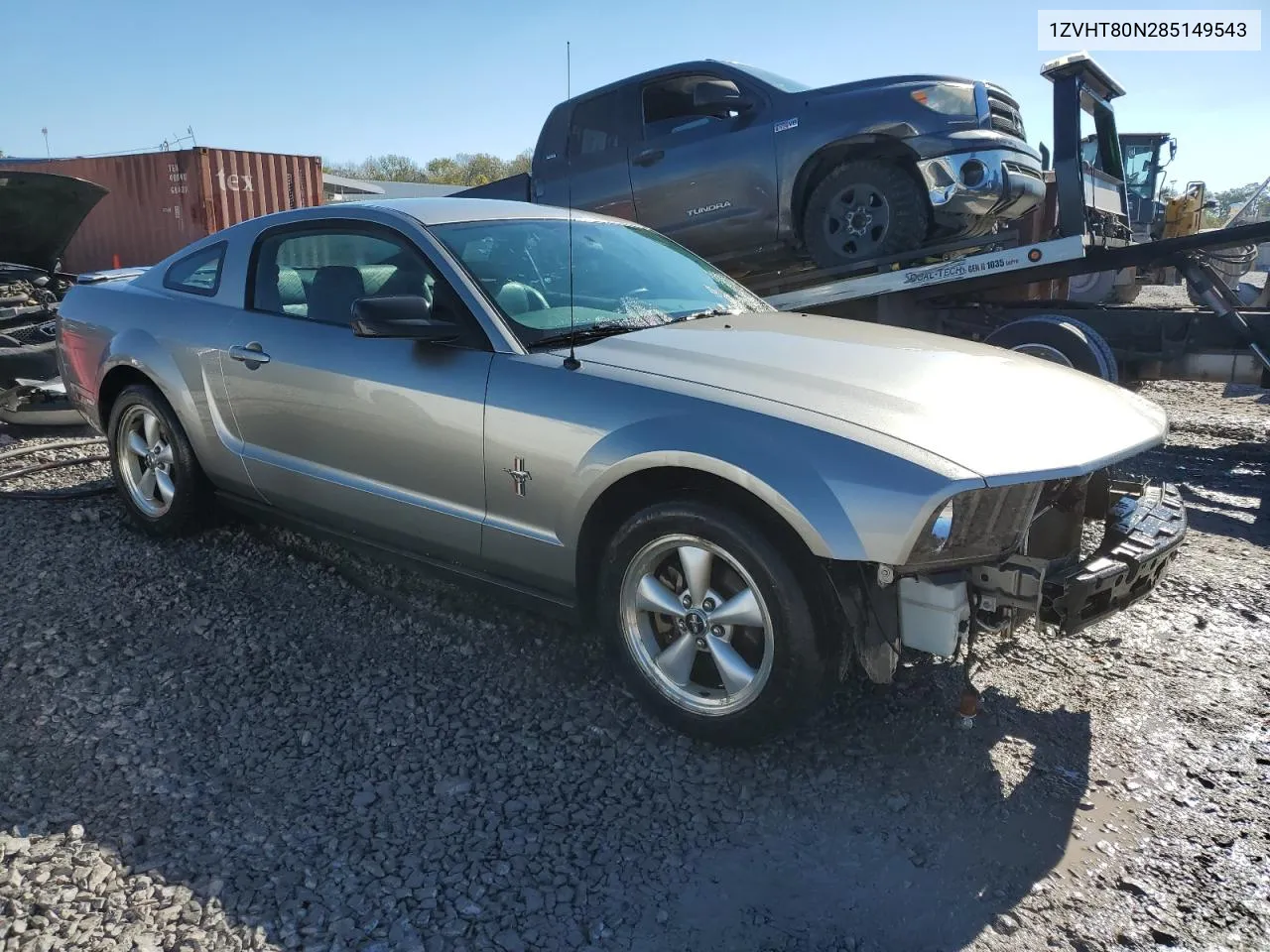 2008 Ford Mustang VIN: 1ZVHT80N285149543 Lot: 80766474