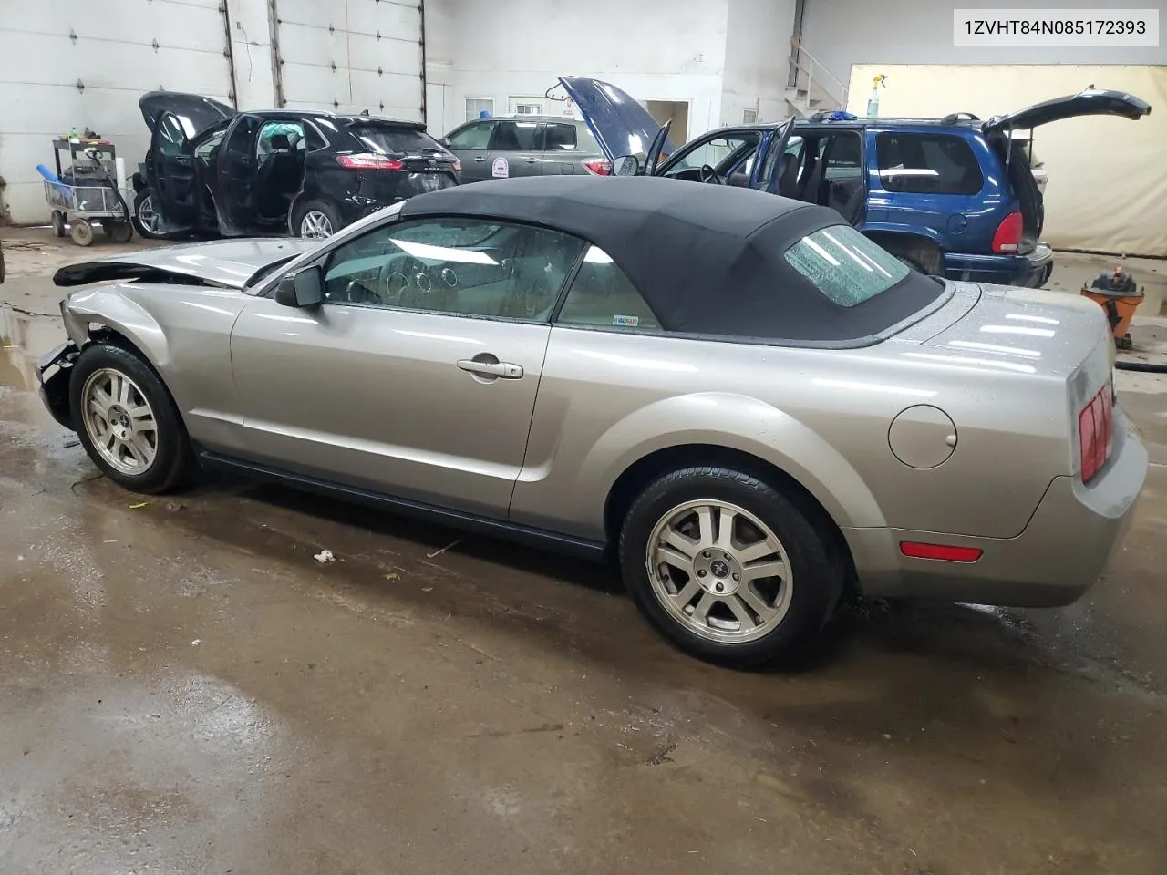 2008 Ford Mustang VIN: 1ZVHT84N085172393 Lot: 80776904