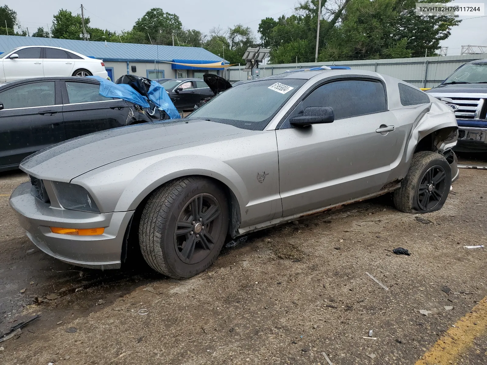 2009 Ford Mustang Gt VIN: 1ZVHT82H795117244 Lot: 61955804