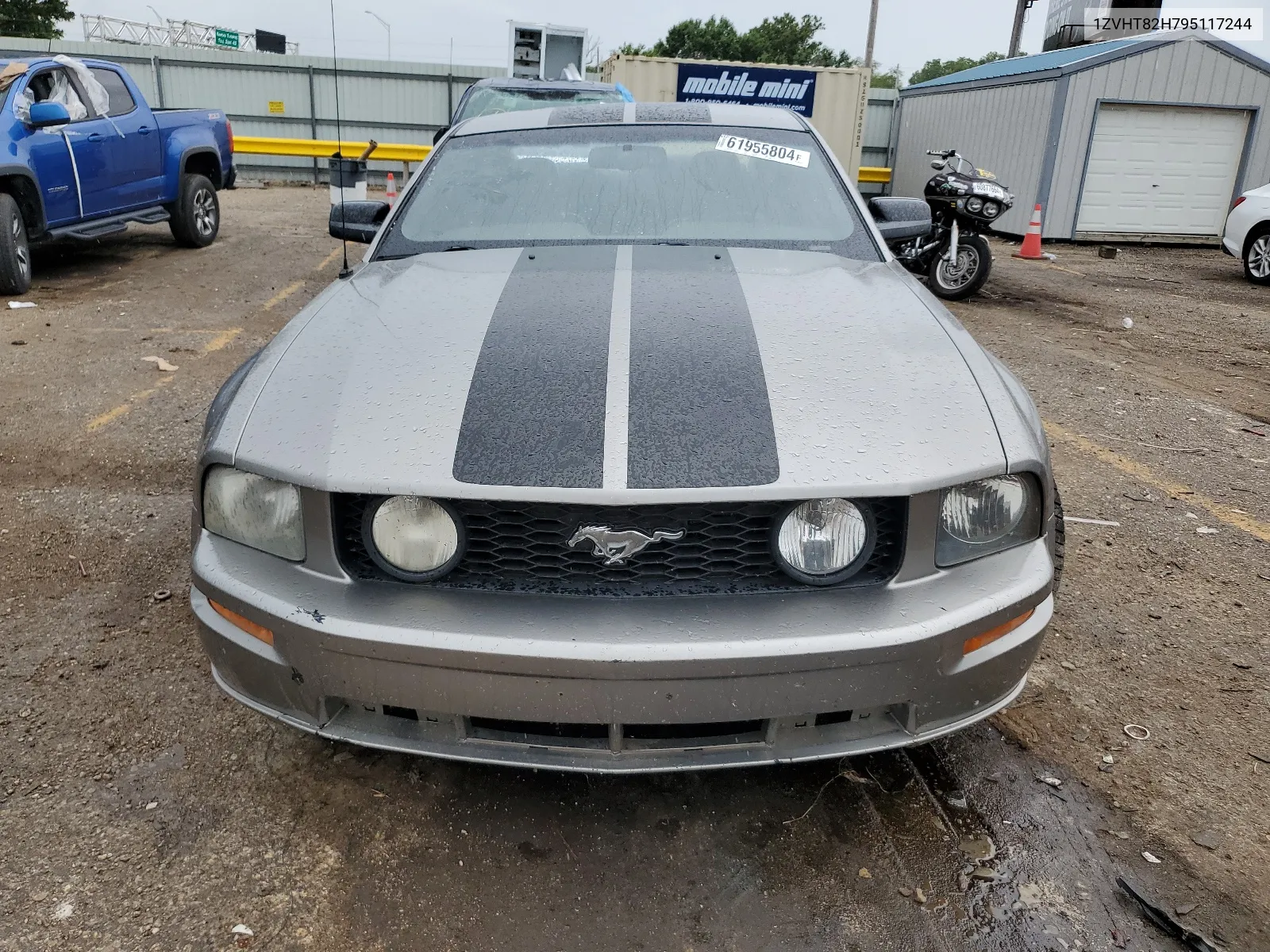 1ZVHT82H795117244 2009 Ford Mustang Gt