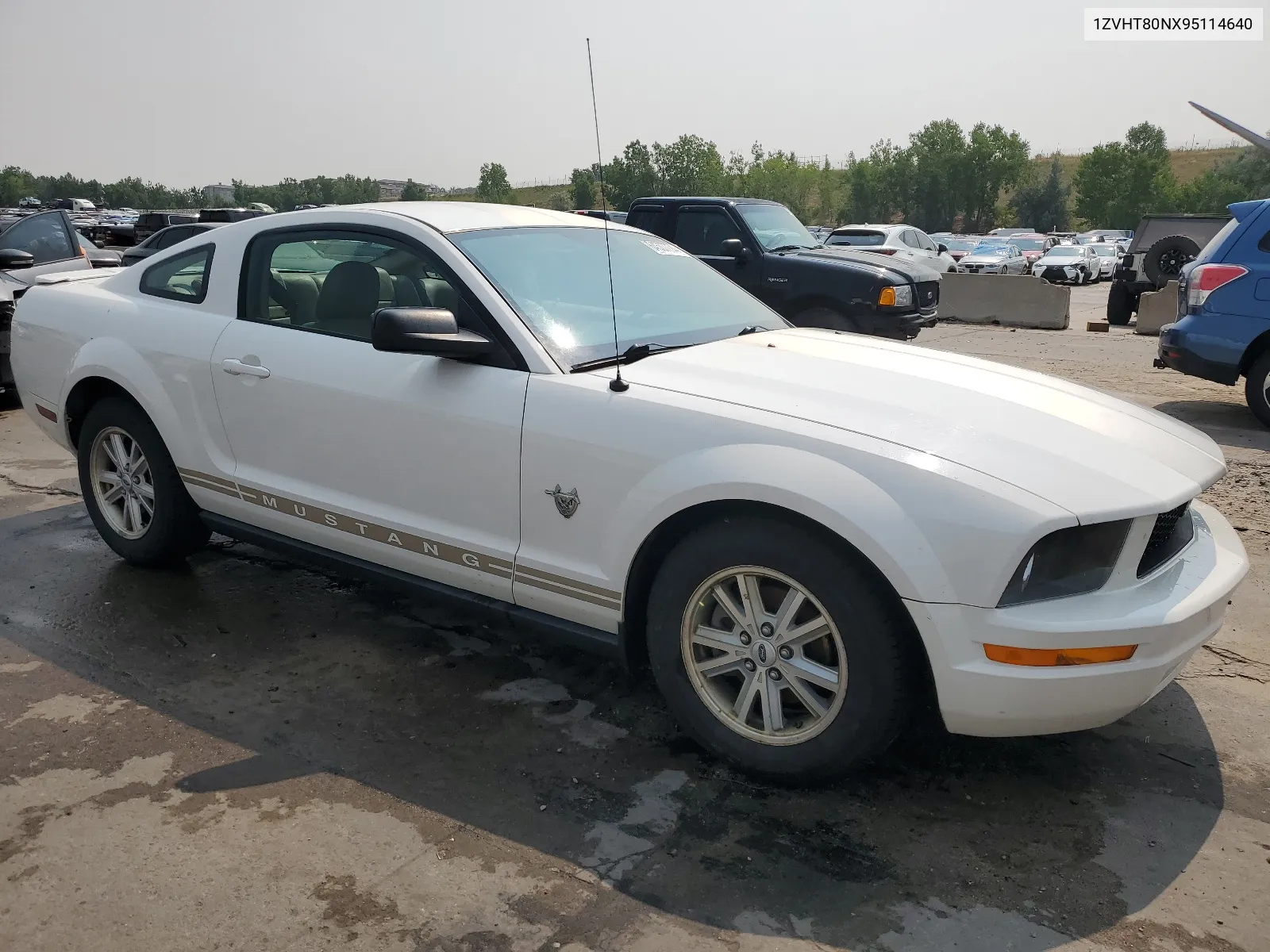 2009 Ford Mustang VIN: 1ZVHT80NX95114640 Lot: 64507774