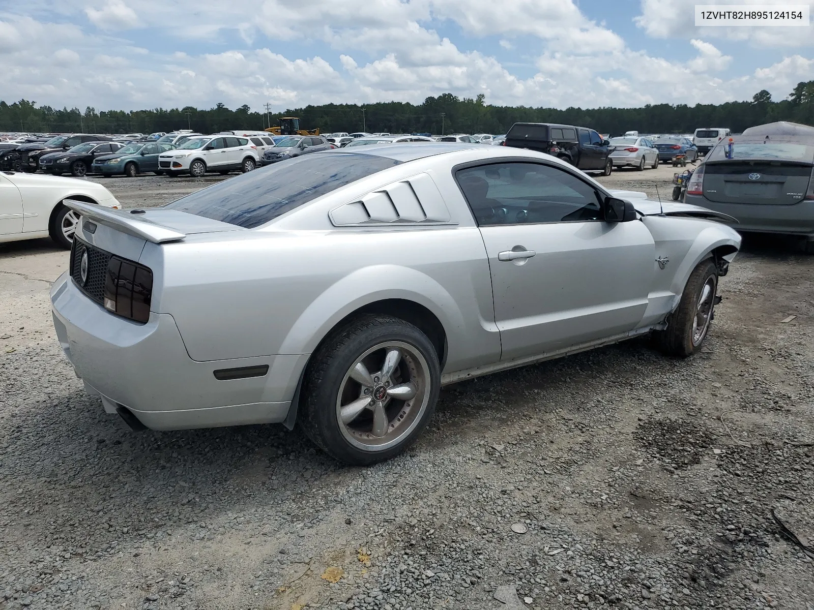 2009 Ford Mustang Gt VIN: 1ZVHT82H895124154 Lot: 66703394