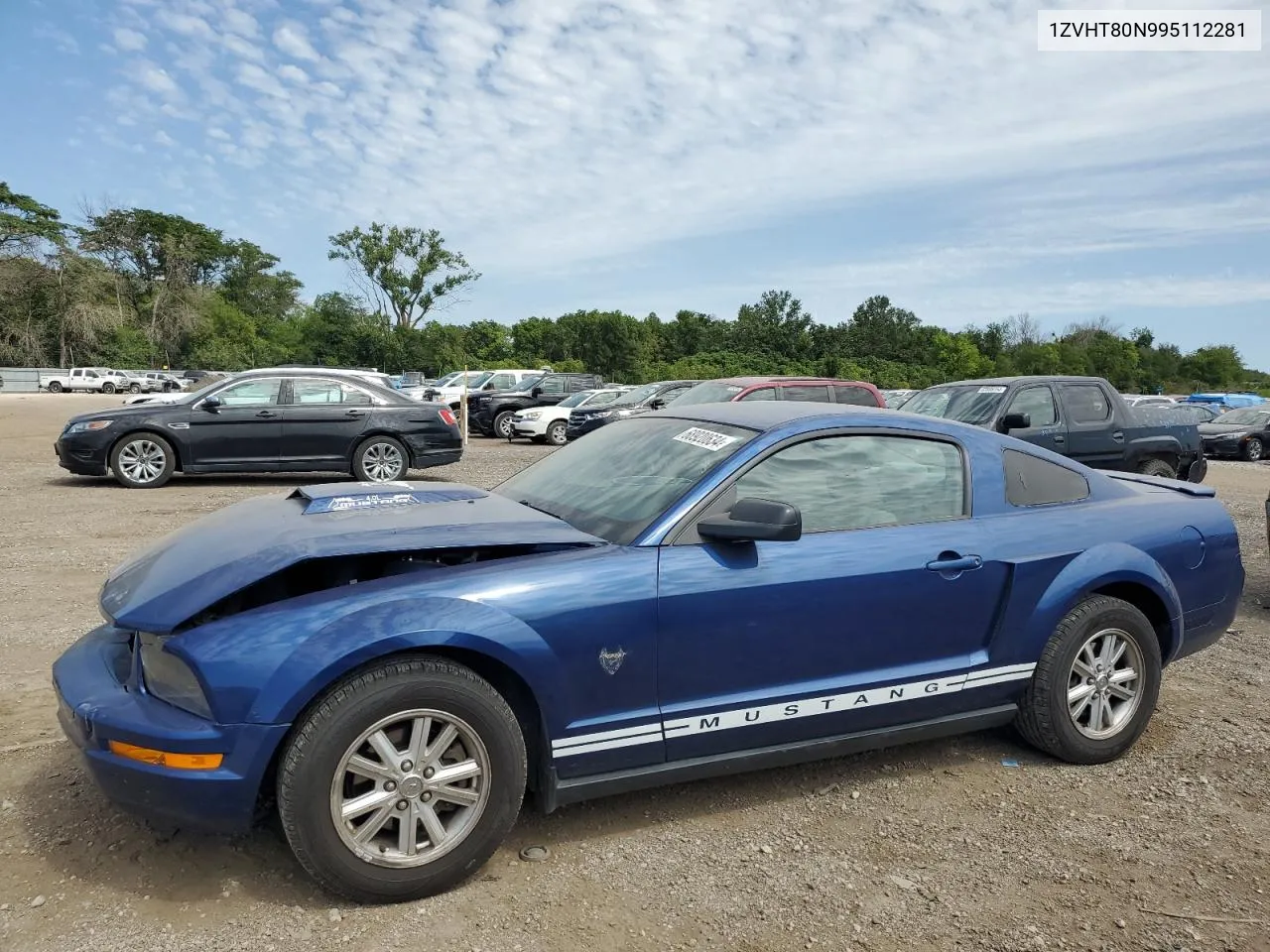 2009 Ford Mustang VIN: 1ZVHT80N995112281 Lot: 68920634