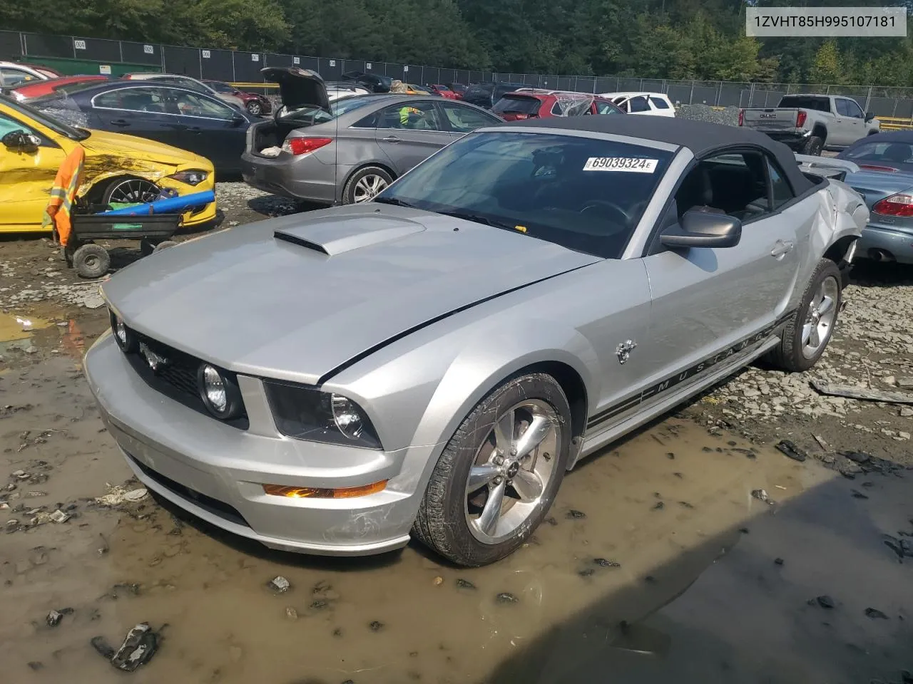 2009 Ford Mustang Gt VIN: 1ZVHT85H995107181 Lot: 69039324