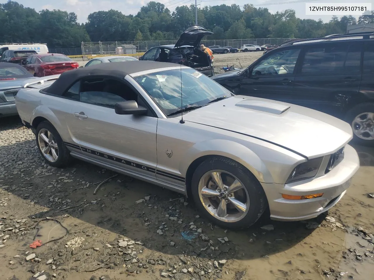 2009 Ford Mustang Gt VIN: 1ZVHT85H995107181 Lot: 69039324