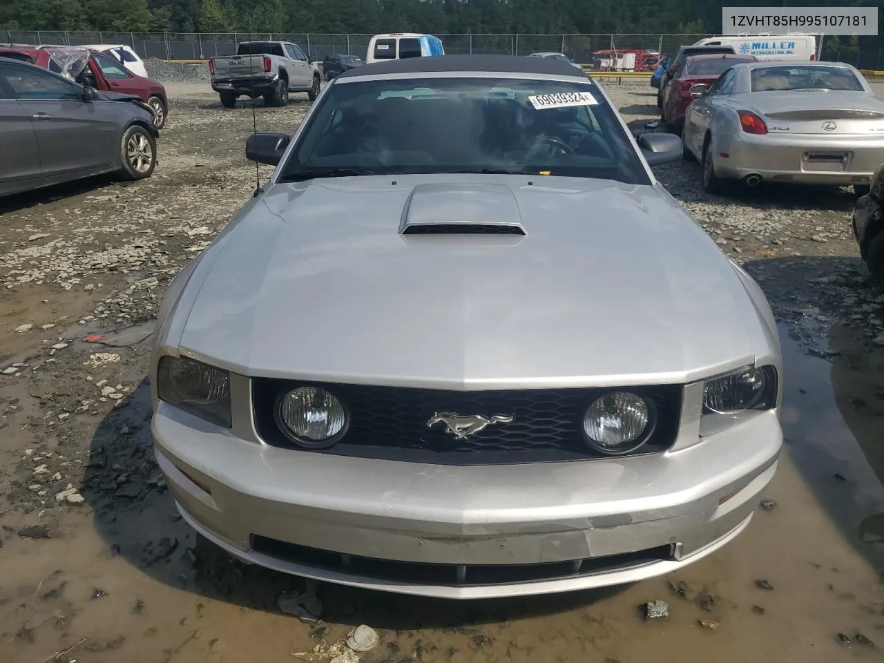 2009 Ford Mustang Gt VIN: 1ZVHT85H995107181 Lot: 69039324