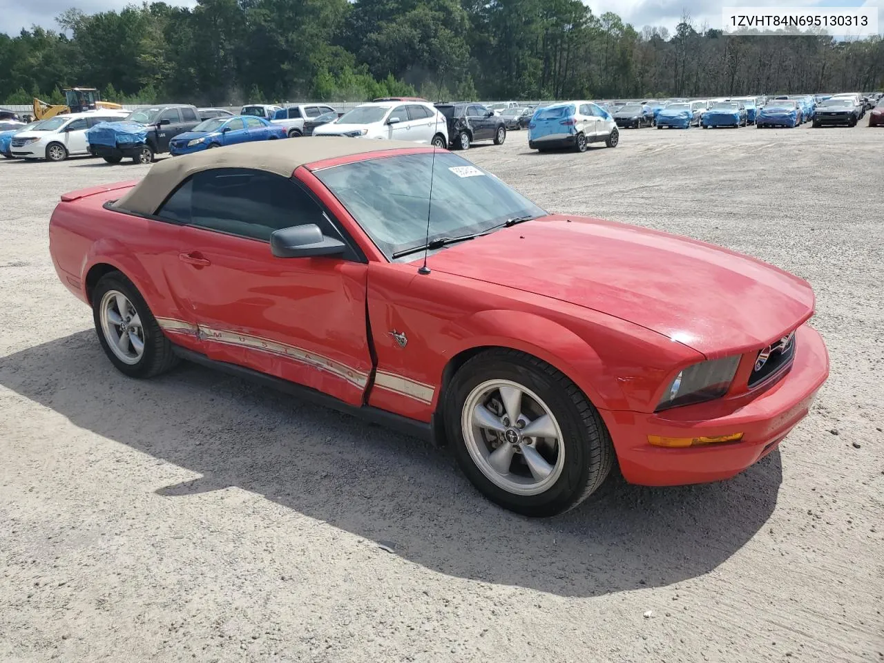 2009 Ford Mustang VIN: 1ZVHT84N695130313 Lot: 69046434