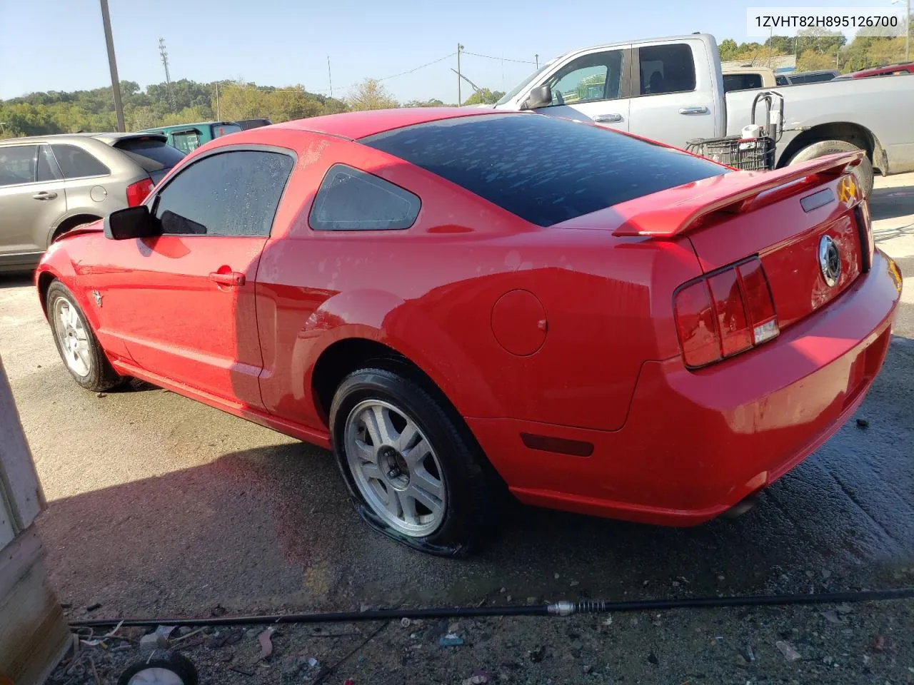 2009 Ford Mustang Gt VIN: 1ZVHT82H895126700 Lot: 69462324