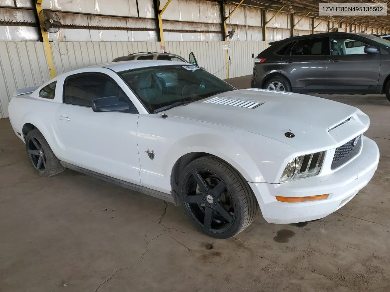 2009 Ford Mustang VIN: 1ZVHT80N495135502 Lot: 69628424