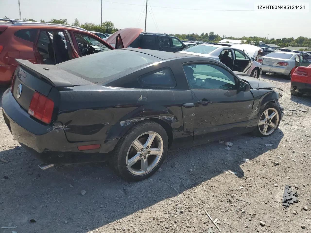 2009 Ford Mustang VIN: 1ZVHT80N495124421 Lot: 69863554