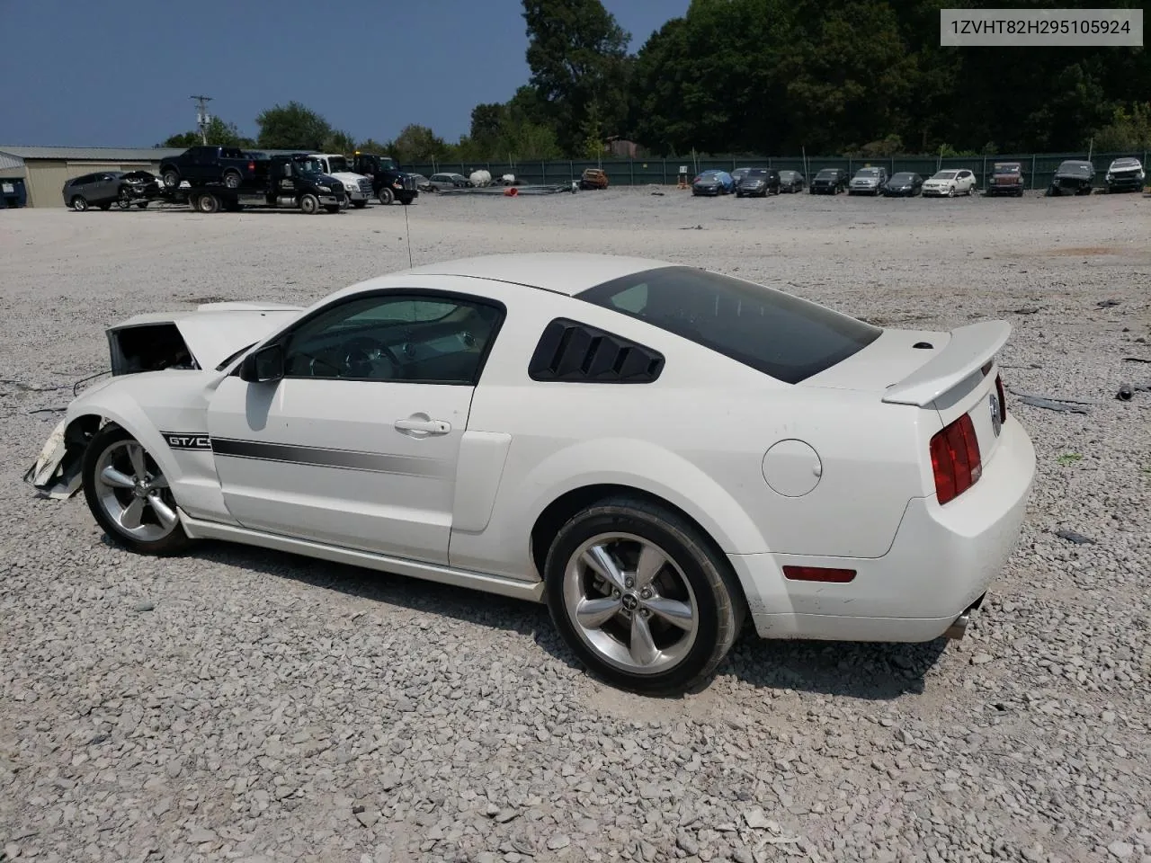 2009 Ford Mustang Gt VIN: 1ZVHT82H295105924 Lot: 71080664