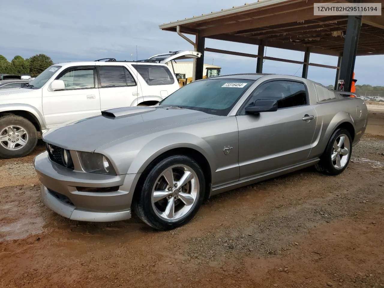 2009 Ford Mustang Gt VIN: 1ZVHT82H295116194 Lot: 73316454