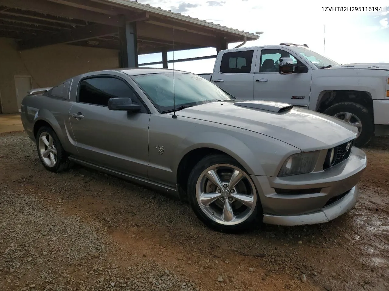 2009 Ford Mustang Gt VIN: 1ZVHT82H295116194 Lot: 73316454