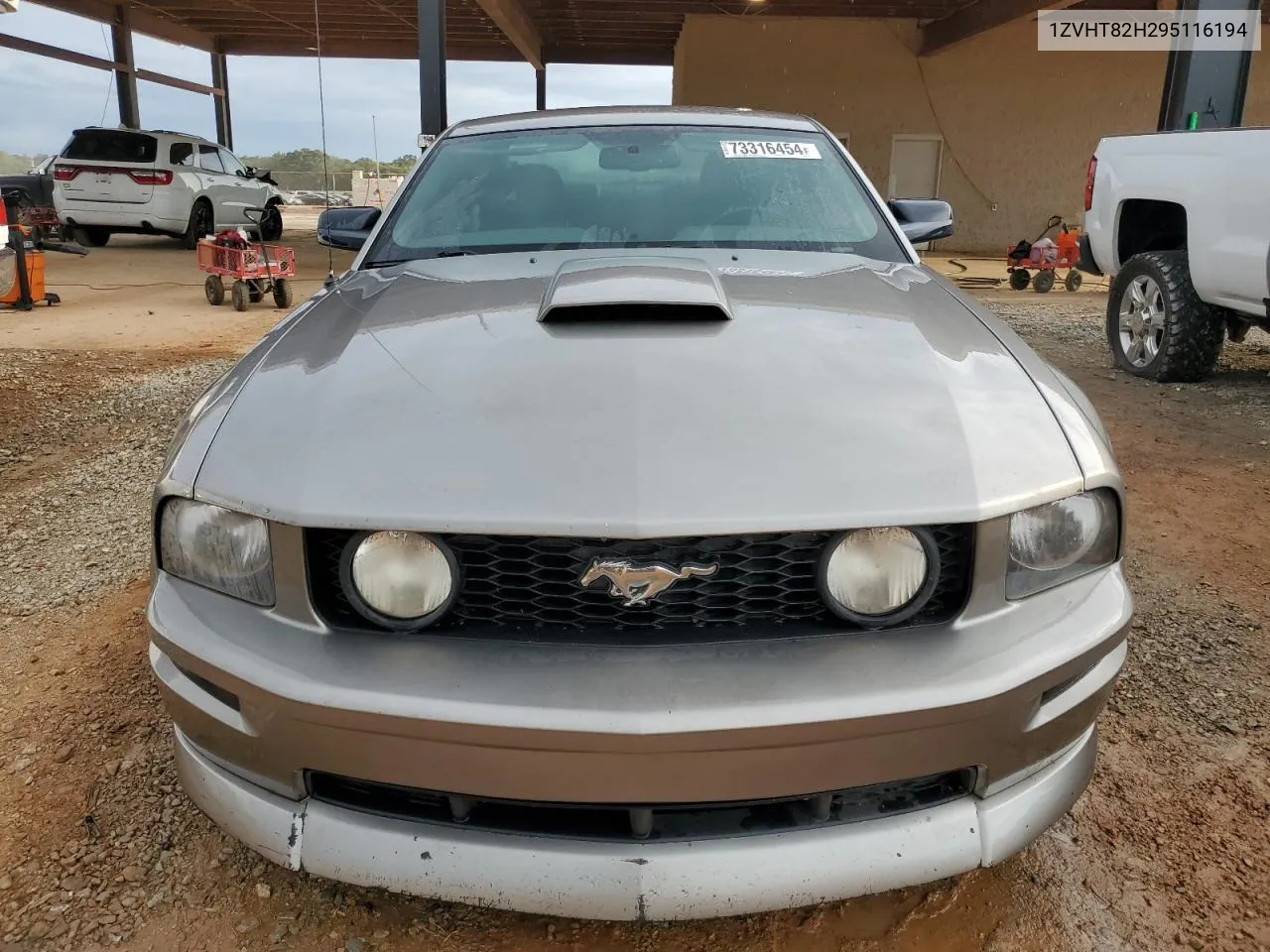 2009 Ford Mustang Gt VIN: 1ZVHT82H295116194 Lot: 73316454