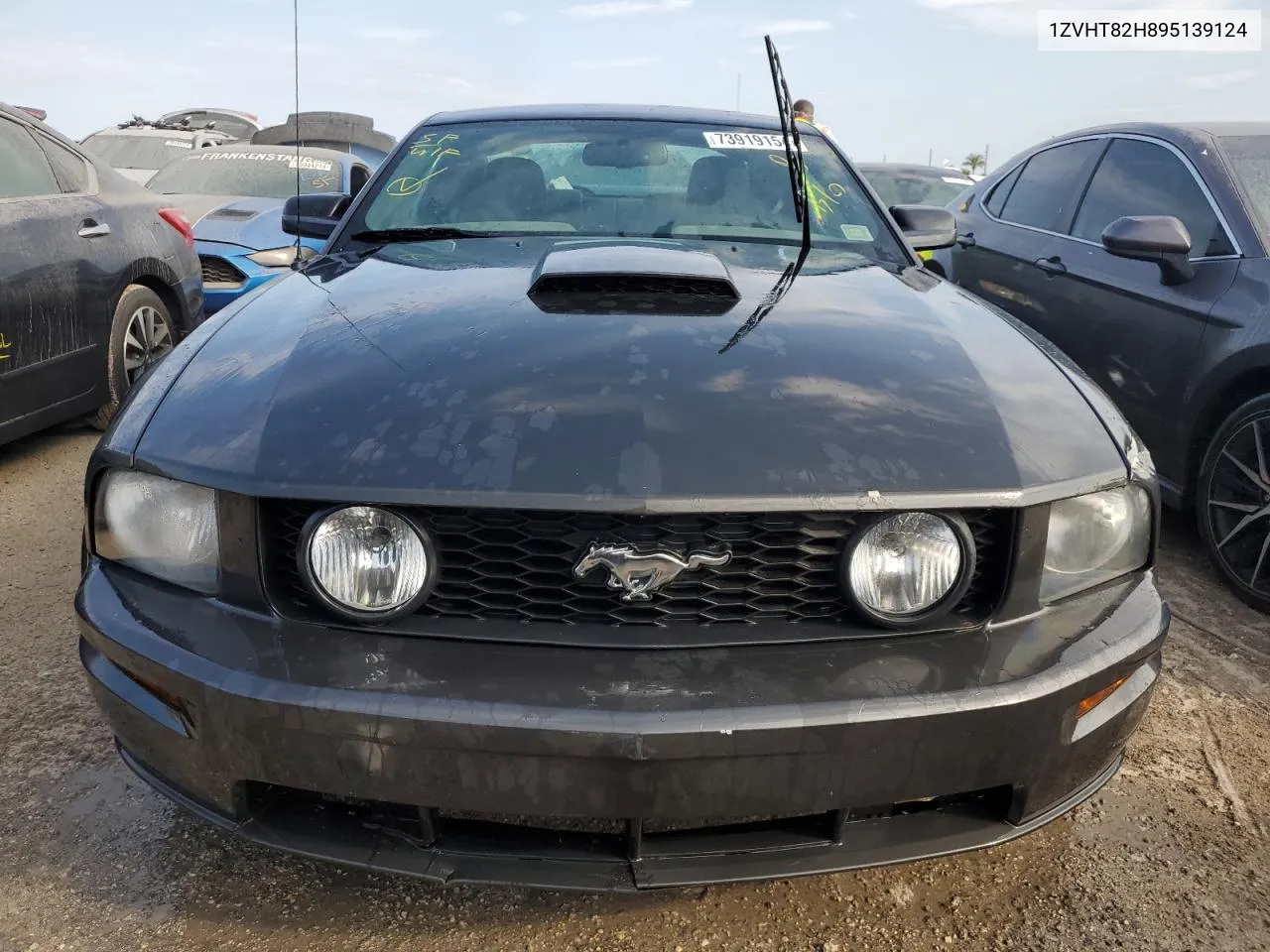 2009 Ford Mustang Gt VIN: 1ZVHT82H895139124 Lot: 73919154